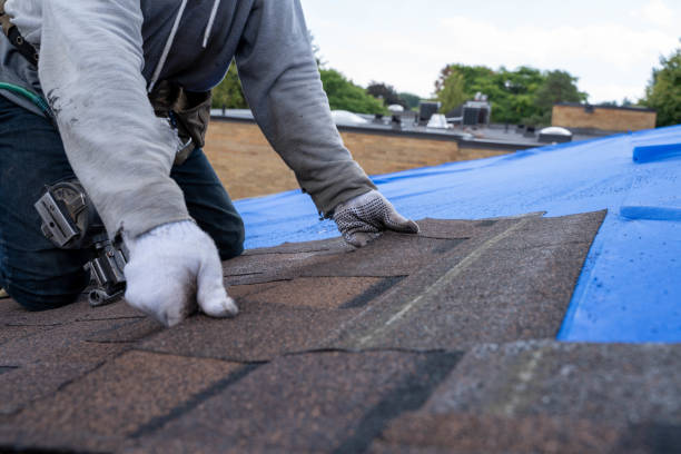 Best Roof Restoration Services  in Dolgeville, NY