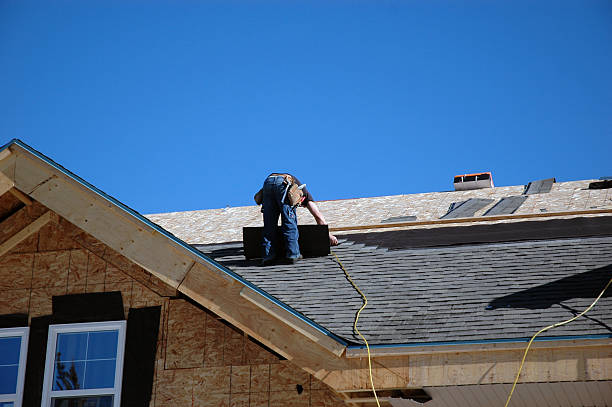 Best Gutter Installation and Roofing  in Dolgeville, NY